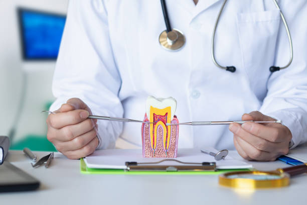 Best Emergency Dentist for Special Needs Patients in England, AR